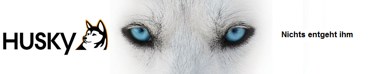 Husky Schweiz
